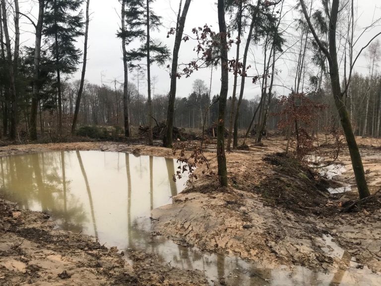 Der oberste Tümpel füllte sich bereits mit Regenwasser. Im Hintergrund ist die angelegte übrige Fläche zu sehen. - Foto: Naturpark Taunus