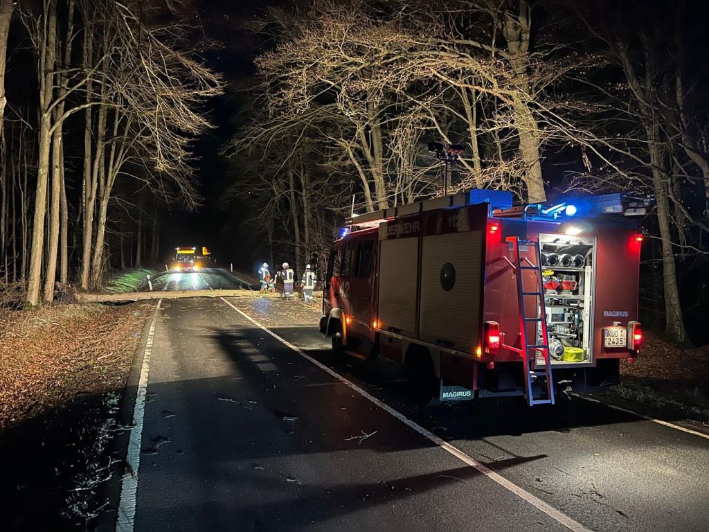 Die Feuerwehr schneidet Baum bei Taunusstein-Seitzenhahn am 17. Februar. - Foto: Rheingau-Taunus-Kreis