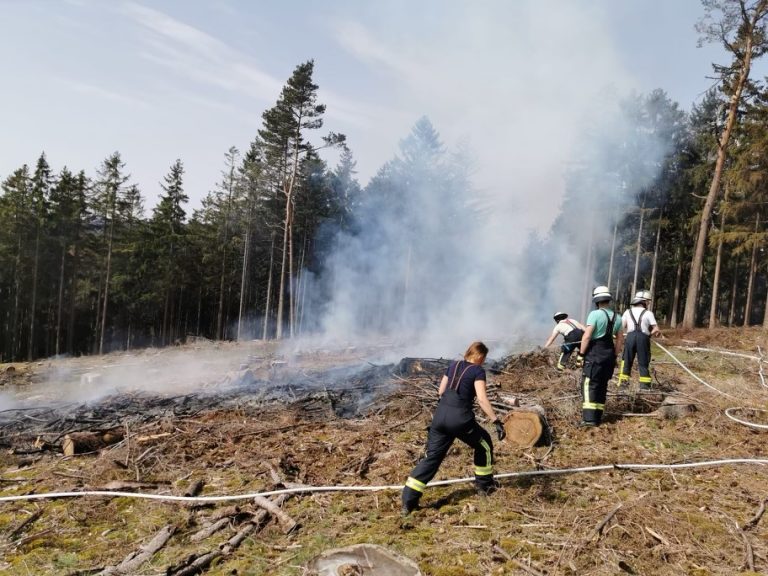 Read more about the article Oberursel: Erster Waldbrand des Jahres auf der Gemarkung der Stadt