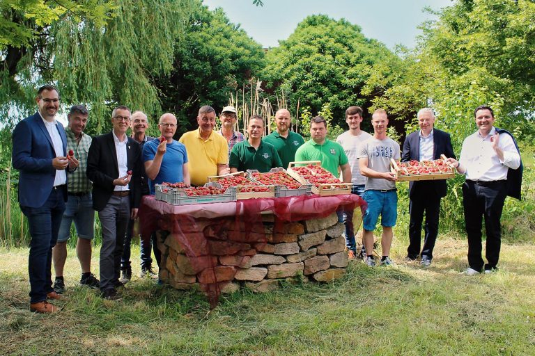 Sie haben die Erdbeersaison im Kreis offiziell eröffnet: Sie zeigen die Erdbeerbauern mit dem Gastgeber Karl-Heinz Hasenbach (4. v. li.), Landrat Cyriax (2. v. r.), Kriftels Bürgermeister Seitz (li.) und Ersten Beigeordneten Jirasek (3. v. li.) und Hofheims Bürgermeister Vogt (r.). - Foto: MTK-Pressestelle