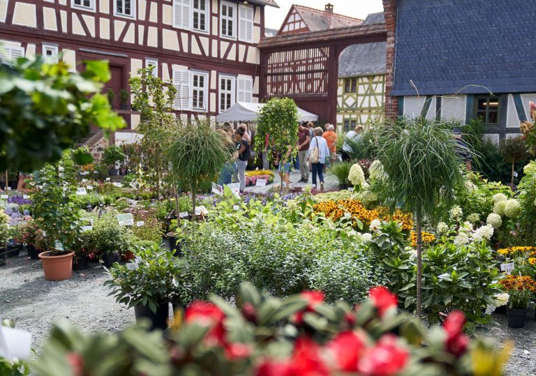 Der Veranstaltungskalender ist 2023 gut gefüllt – mit dabei sind auch die beliebten Pflanzenmärkte. - Foto: Jens Gerber