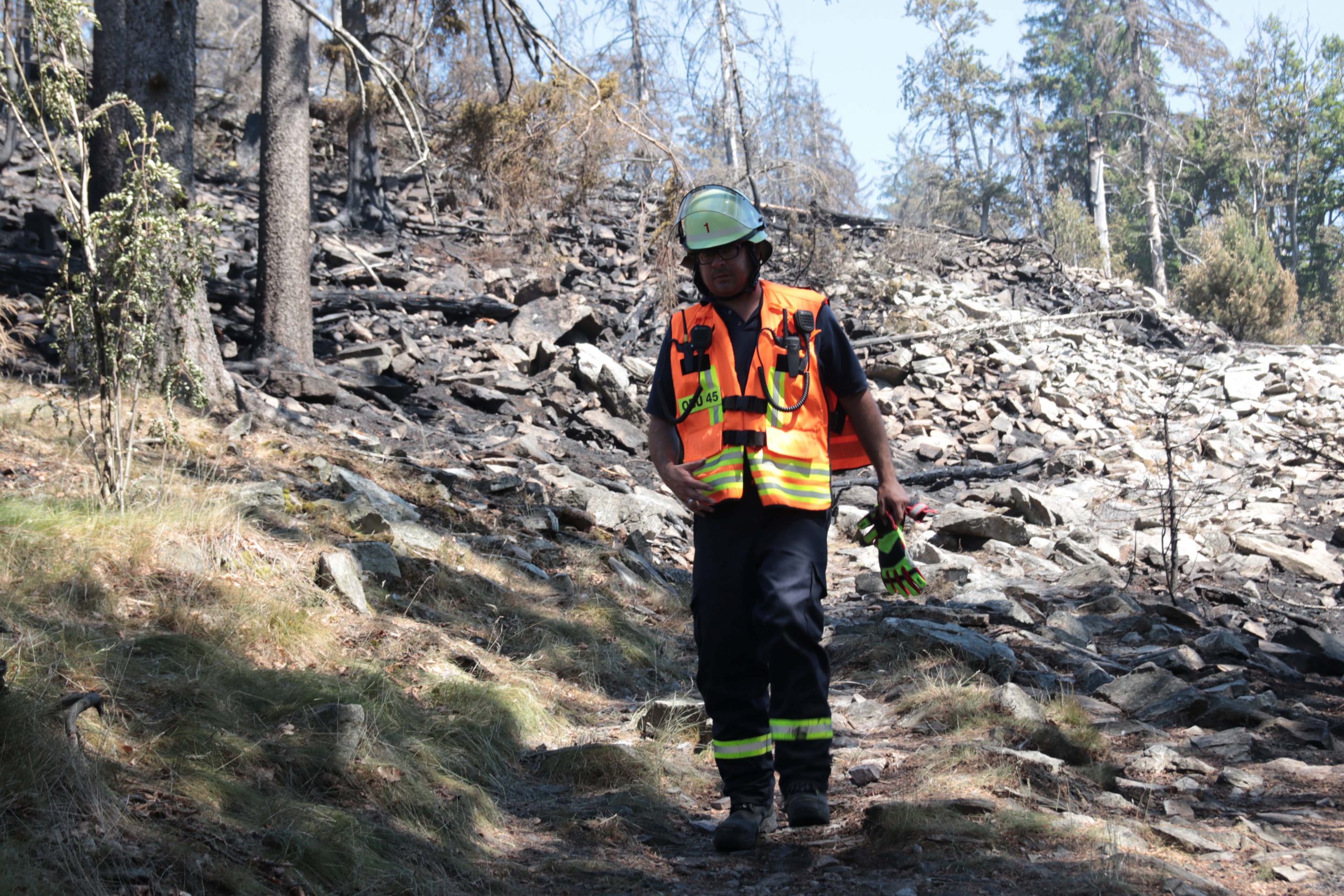 Read more about the article Kronberg: Fachkongress „Waldbrände – Eine Gefahr für die Zukunft unserer Wälder!“