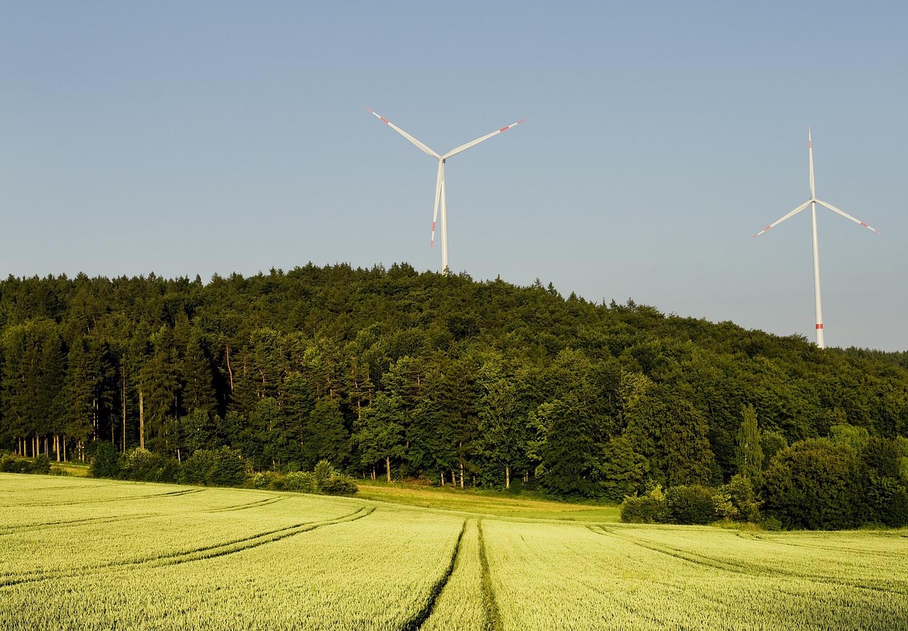 Read more about the article Eltville: Bürgerentscheid zum Thema „Windkraft“ – Informationen rund um die Abstimmung
