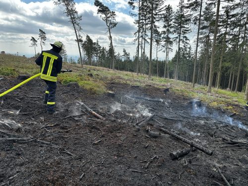 Read more about the article Oberursel: Erster Waldbrandeinsatz der Saison ist am Kolbenberg