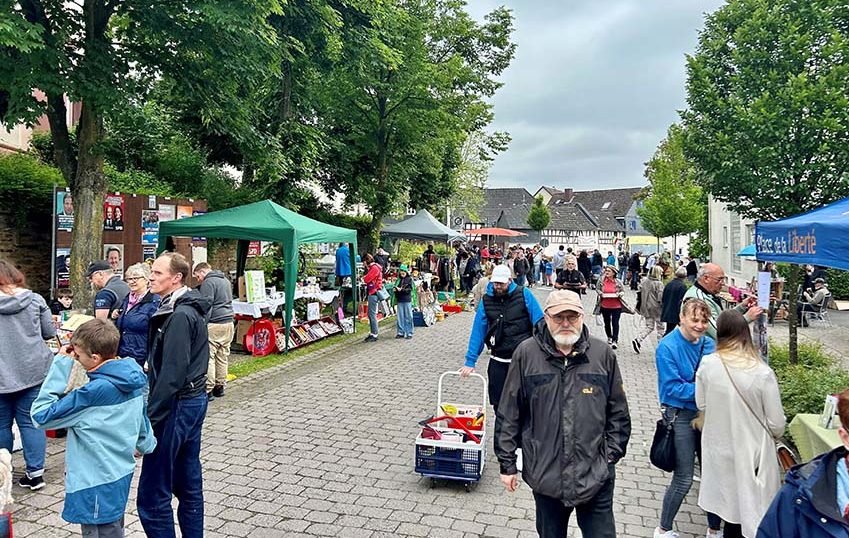 Read more about the article Usingen: Großer Andrang beim jährlichen Flohmarkt in Eschbach – Erfolgreiches Event trotz Wetterkapriolen