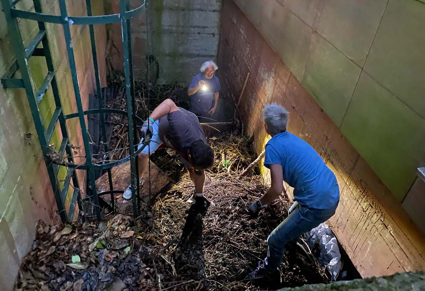 Mehr über den Artikel erfahren Eschborn: Erfolgreiche Rettung von Katzenmama und ihren sieben Kitten