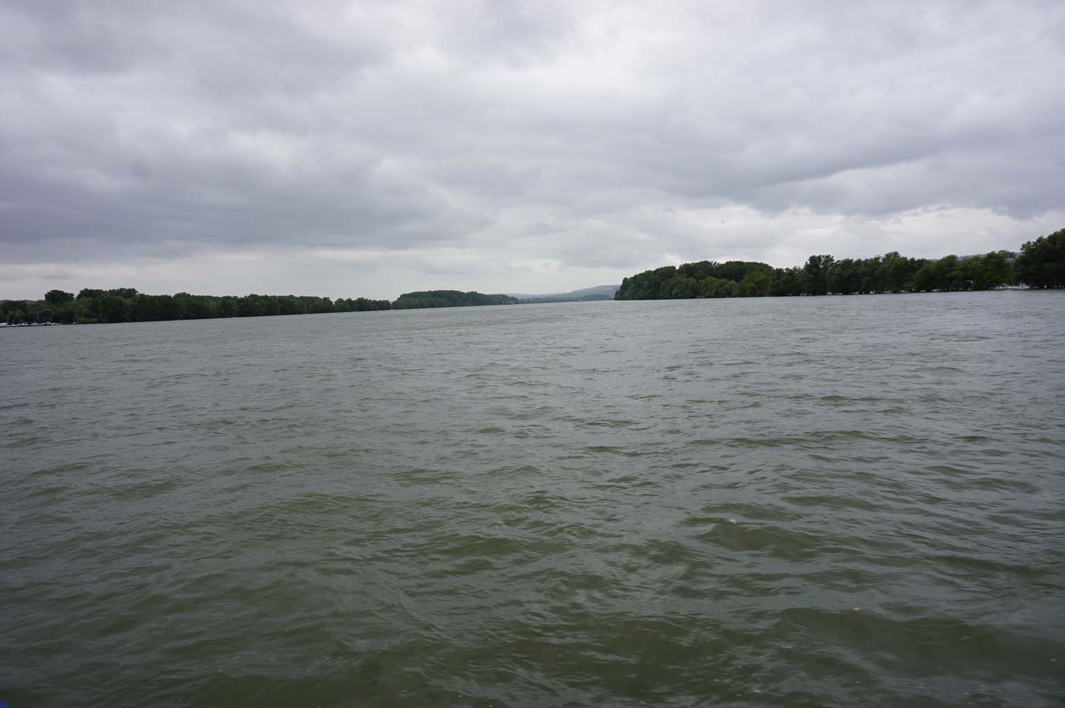 Mehr über den Artikel erfahren Rheingau-Taunus: Hinweisaufruf der Kriminalpolizei Montabaur nach einem vermutlichem Unglücksfall in Hattenheim