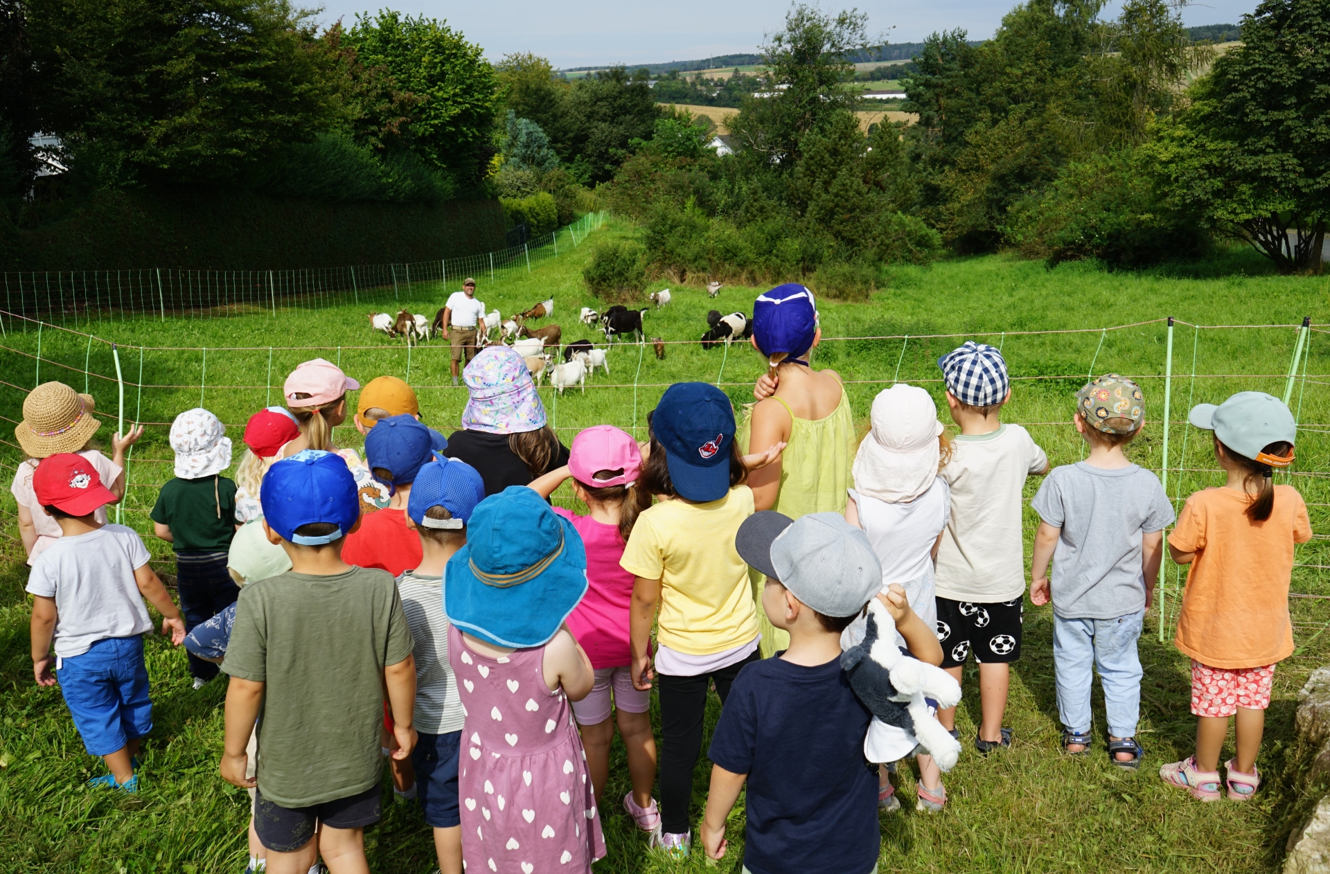 Mehr über den Artikel erfahren Taunusstein: Ziegen und Schafe in Wehen – Ein Naturerlebnis für Jung und Alt
