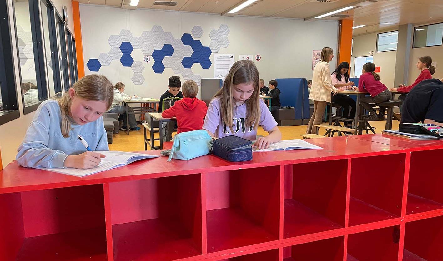 Mehr über den Artikel erfahren HTK: Taunusgymnasium Königstein – SegeLn als innovatives pädagogisches Konzept