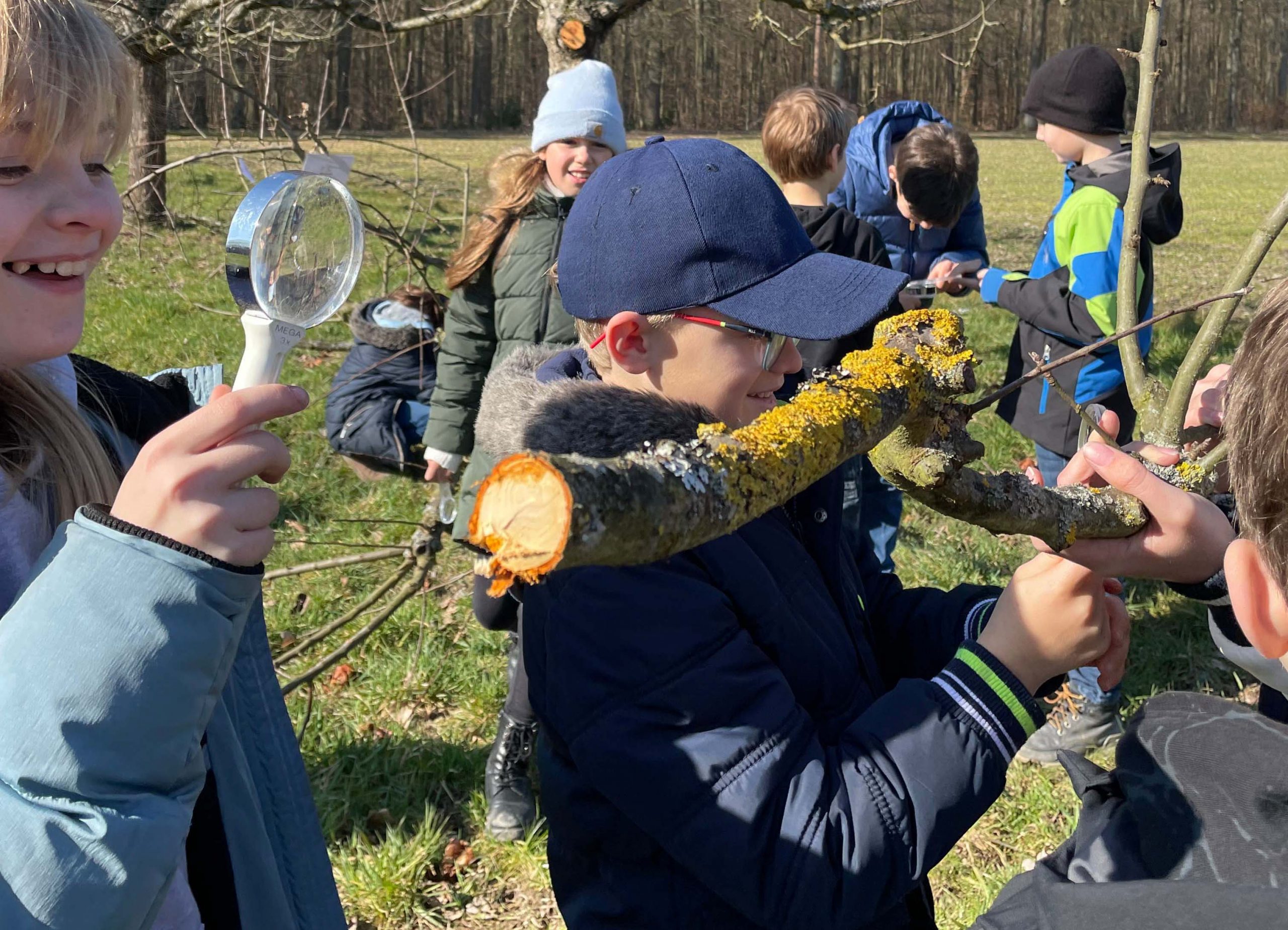 Mehr über den Artikel erfahren HTK: Kinder erforschen Streuobstwiesen im Wandel der Jahreszeiten