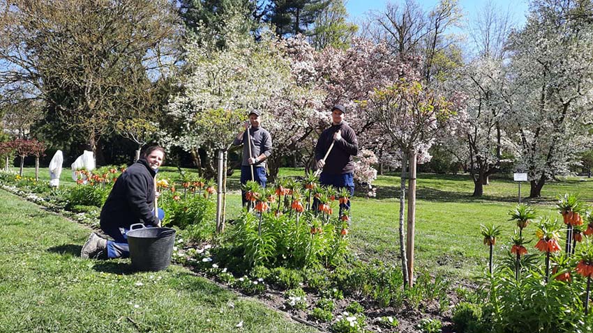 Mehr über den Artikel erfahren Bad Homburg: Frühjahrsblühen im Bad Homburger Kurpark – Ein Paradies aus Farben und Düften