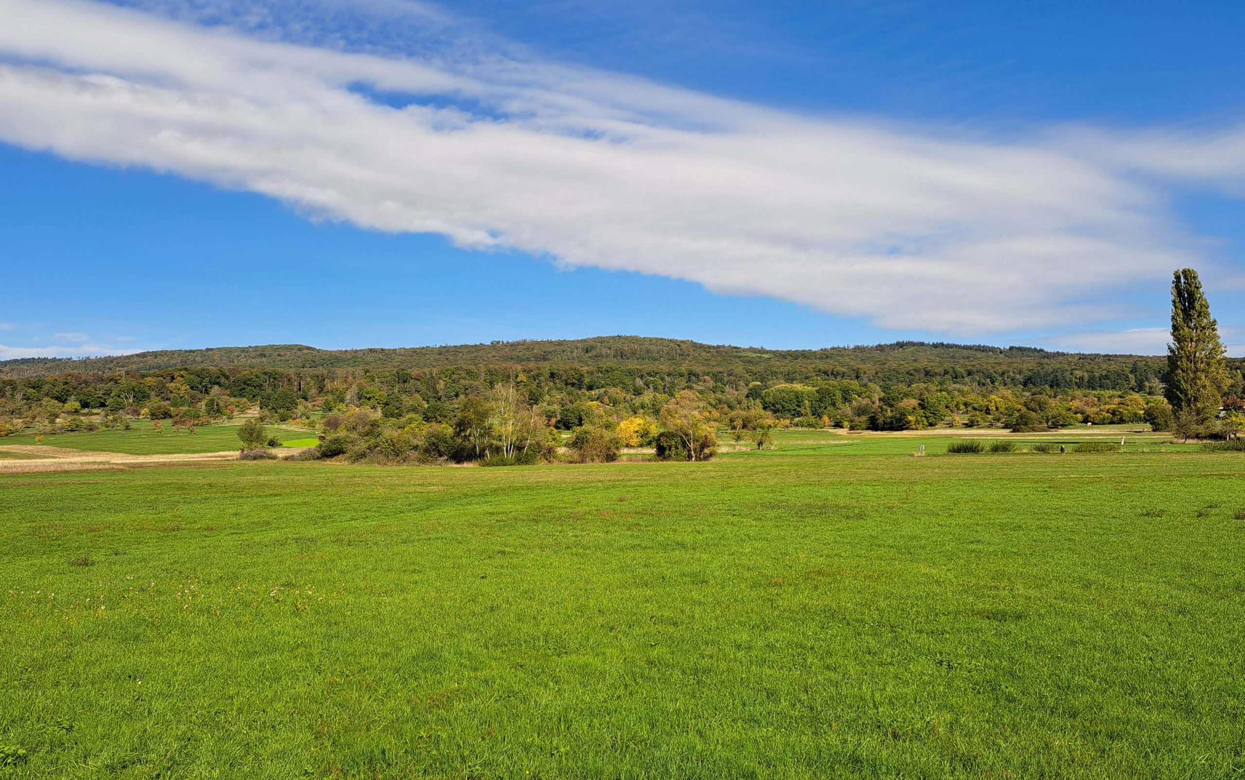 Mehr über den Artikel erfahren Bad Homburg: 4. Mainova Streuobstwiesenlauf – Anmeldung läuft