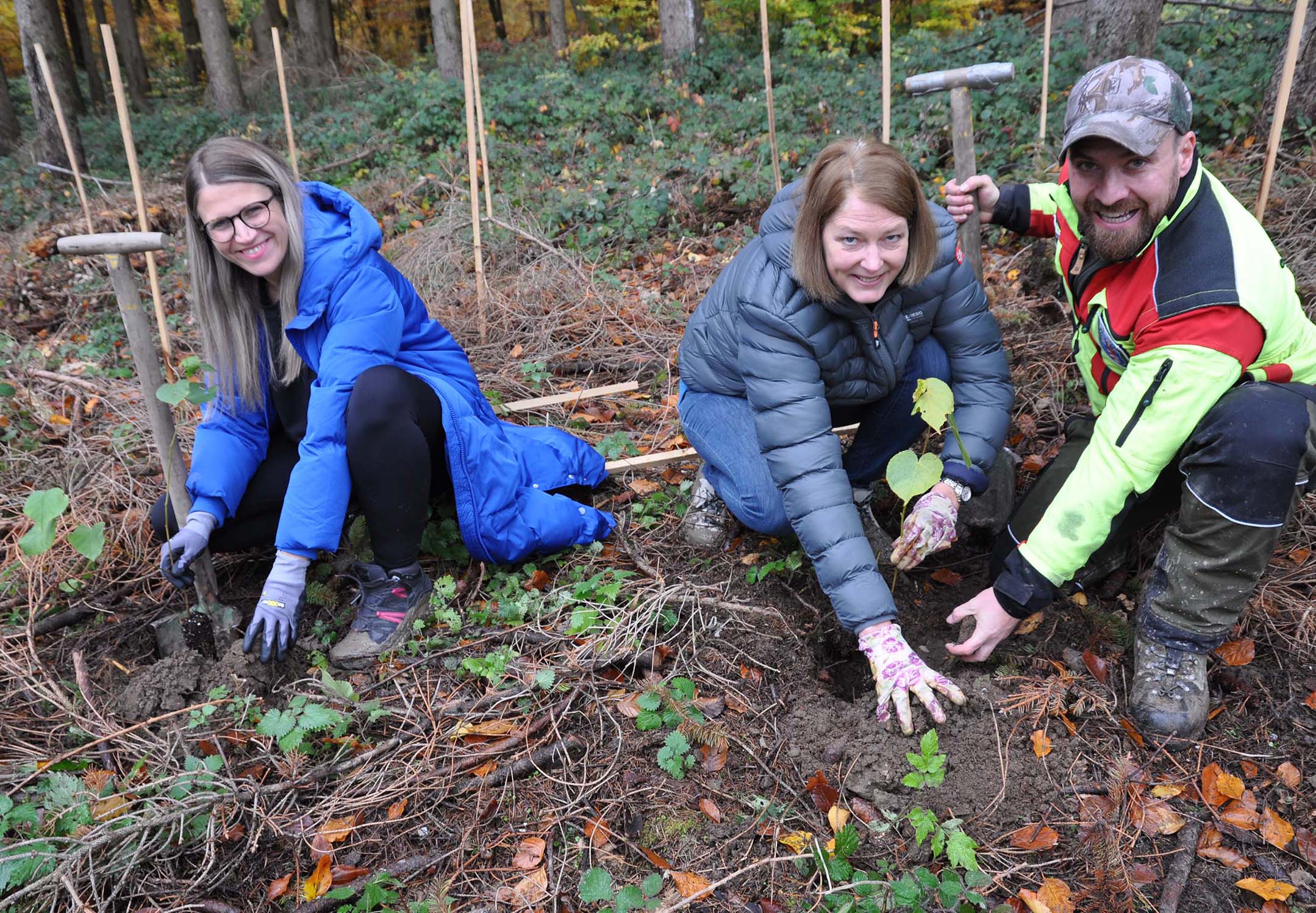 Mehr über den Artikel erfahren Oberursel: 60 Freiwillige pflanzen 1.100 Bäume für einen stabilen Stadtwald