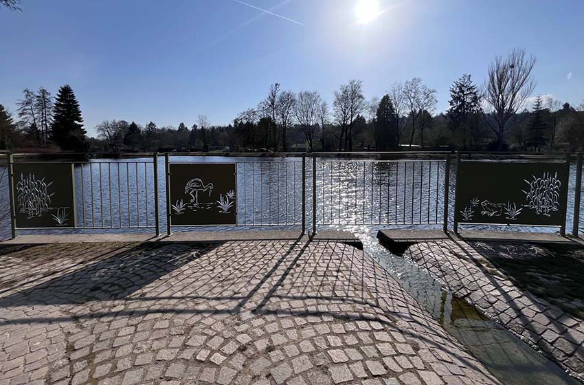 Mehr über den Artikel erfahren Oberursel: Kreativ gestaltete Geländer verbinden Sicherheit und Ästhetik am Maasgrundweiher