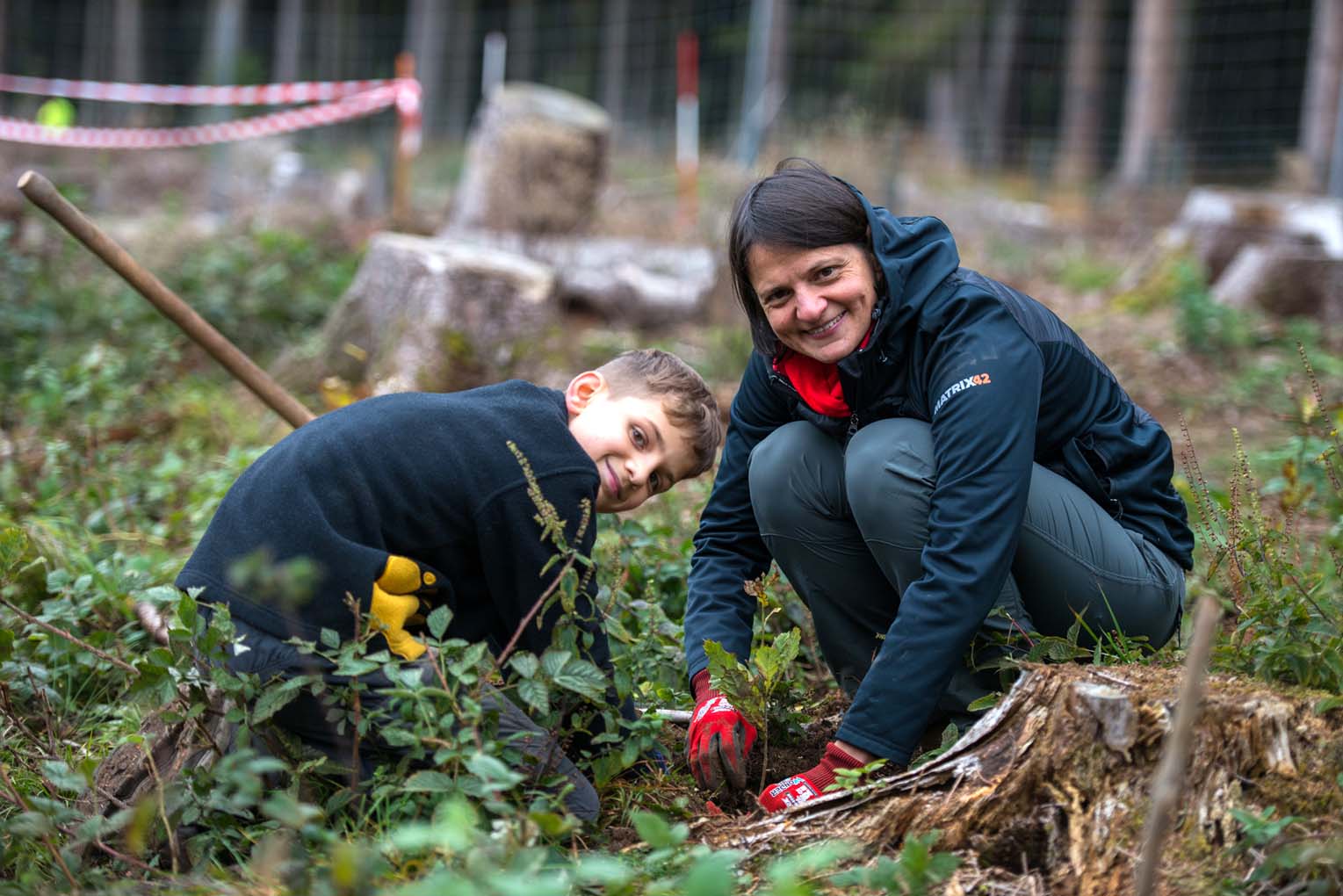 Mehr über den Artikel erfahren Kronberg/Königstein: Initiative Waldzukunft Taunus startet – Freiwillige Helfer gesucht