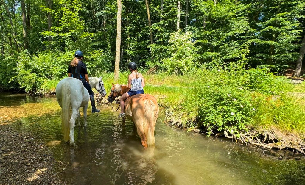 2026-06-19_PM-Sommerfest_RFV_zugeschn