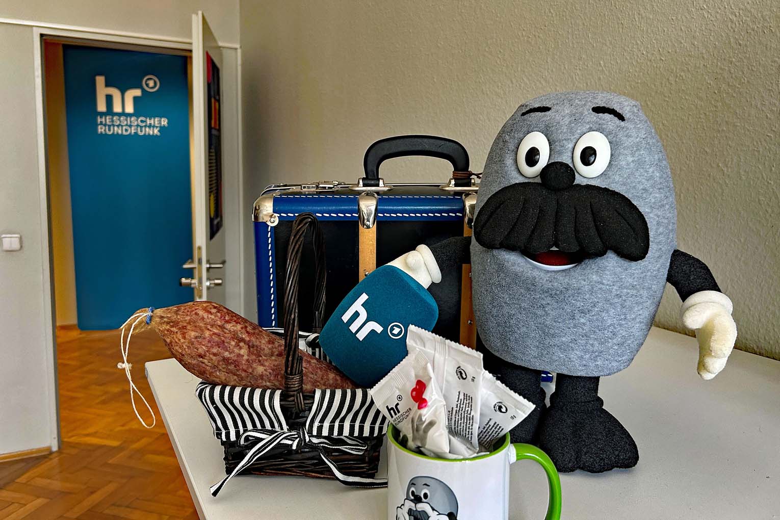 Mehr über den Artikel erfahren Königstein: hr-Maskottchen Onkel Otto besucht das Freibad