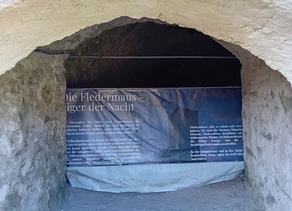 Mehr über den Artikel erfahren Königstein: Fledermäuse haben jetzt Vorrang – Dunkler Bogen gesperrt